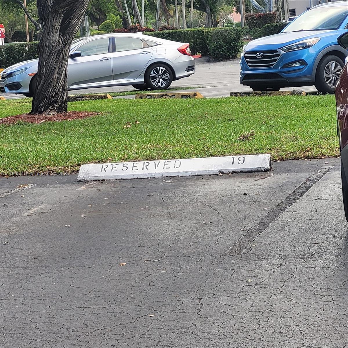 CONDO 9 OF SABAL PALM CON - Residential Lease