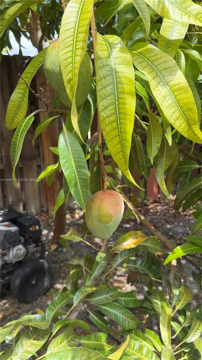 GUARDIAN ESTATES - Residential