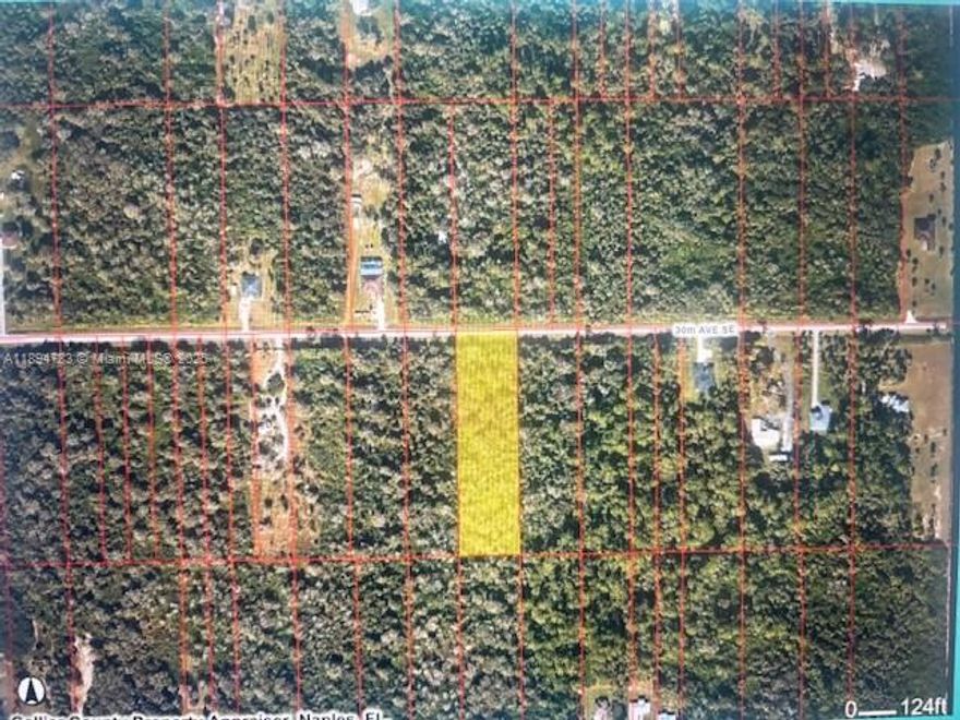 LOCATION, ALMOST 3 ACRES, 2.73 ACRES. Vacant Residential Lot in Golden Gate Estates, 30TH AVE S.E. East of Everglades Blvd, Estimated 1300 FT FROM CANAL ON SOUTH OR RIGHT SIDE, a growing area of Naples, Florida. Excellent opportunity to build your dream home, close to schools, groceries, Ave Maria University, Golf course, this is a developing quiet area, close to beaches of Naples.
