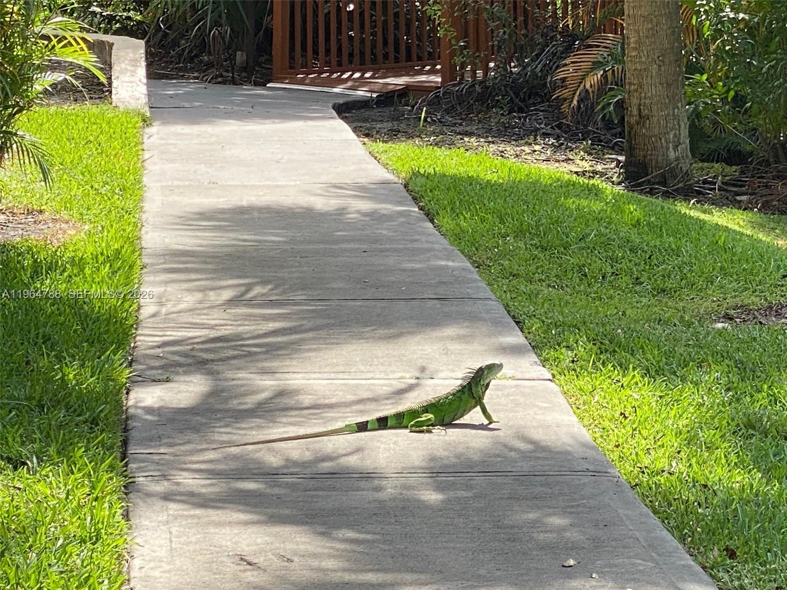 SUMMERBREEZE CONDO - Residential