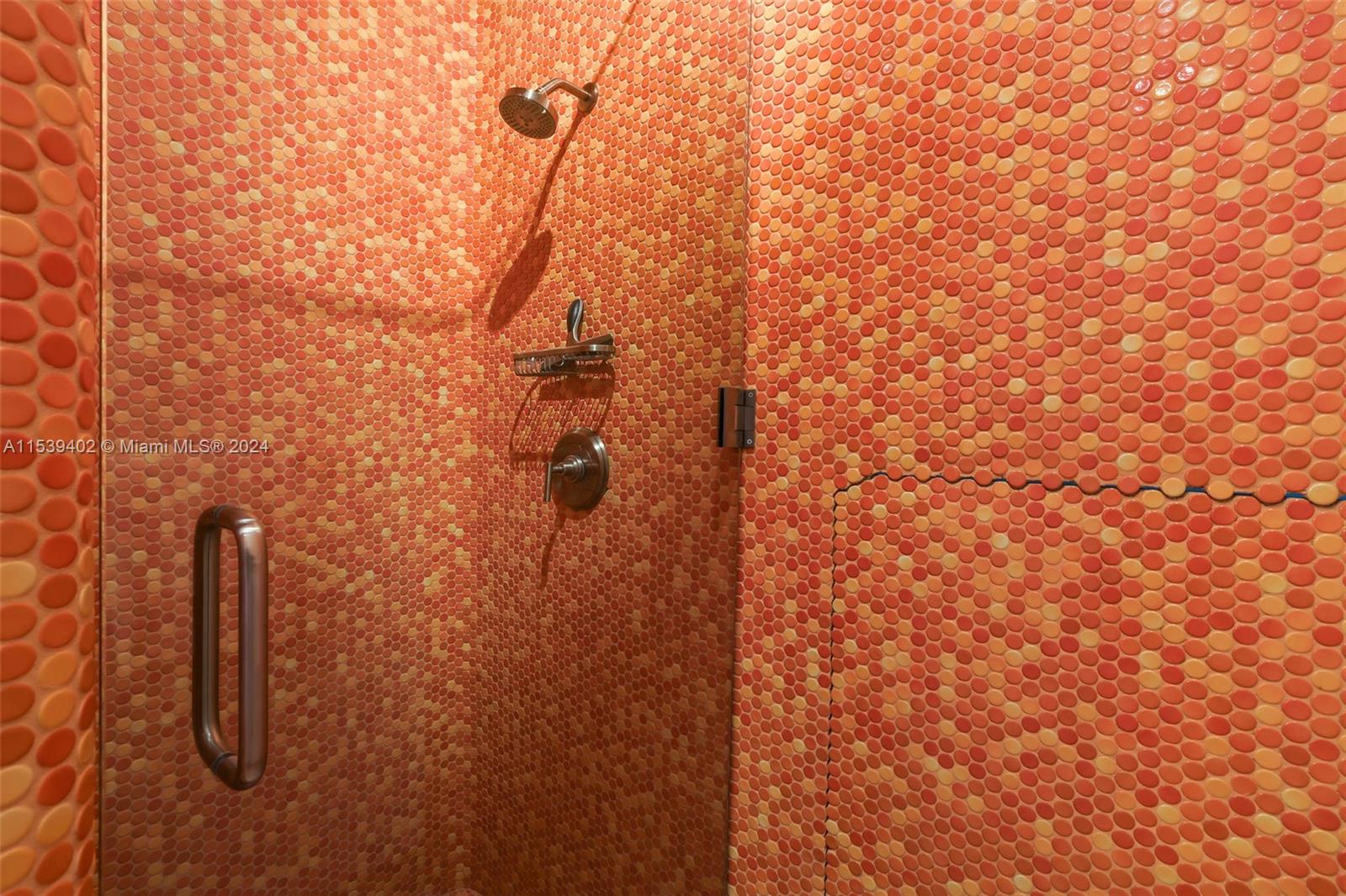 THE MERIDIAN CONDO - Residential