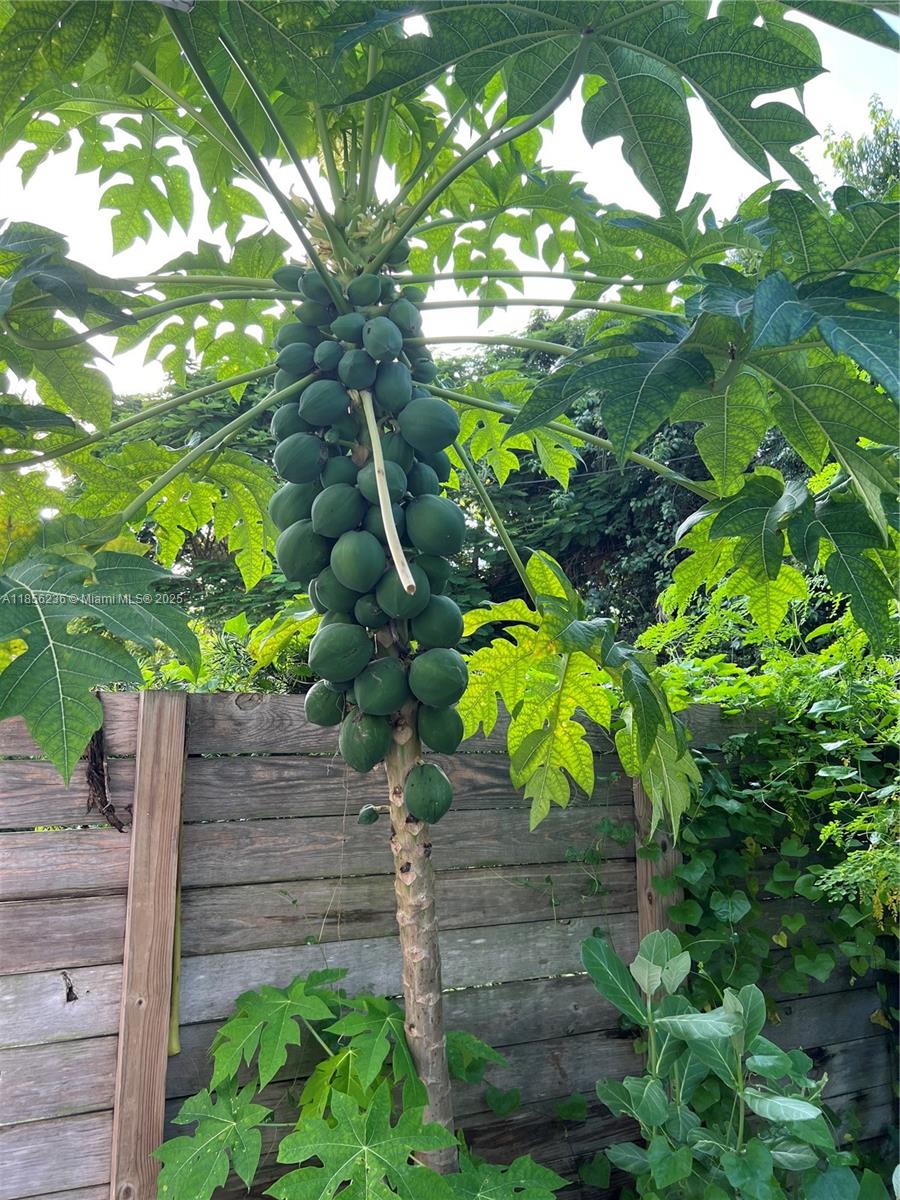 CAMBRIDGE LAWNS - Residential