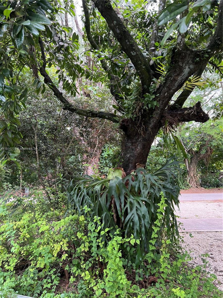 CAMBRIDGE LAWNS - Residential