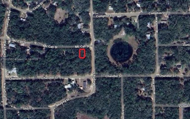 0.23 ACRES VACANT LAND IN INTERLACHEN, FL. ALL INFORMATION FROM THE SELLER AND MUST BE VERIFIED BY THE BUYER!