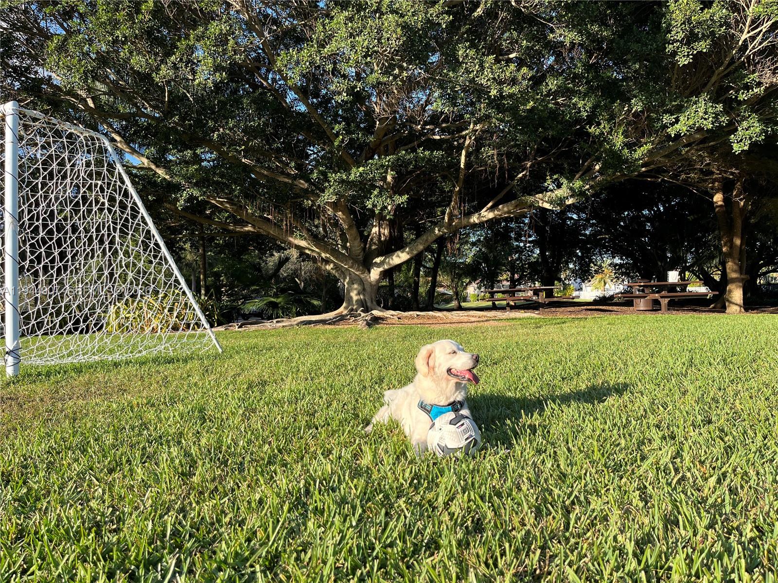 SECTOR 4 - Residential