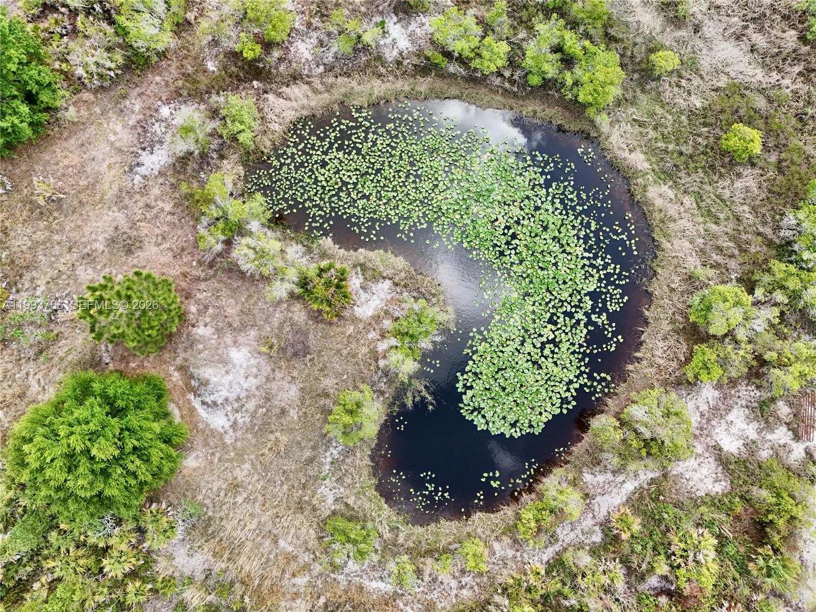 SOUTHERN COLONIZATION COMP - Land