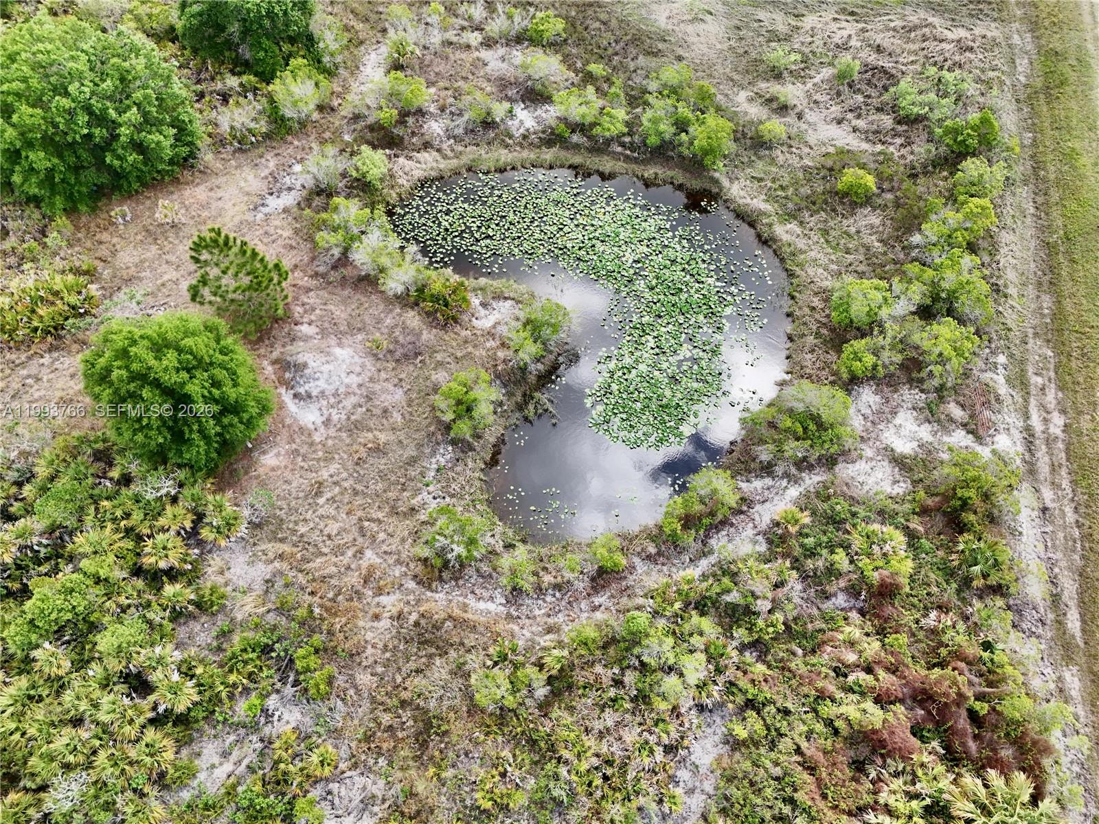 SOUTHERN COLONIZATION COMP - Land