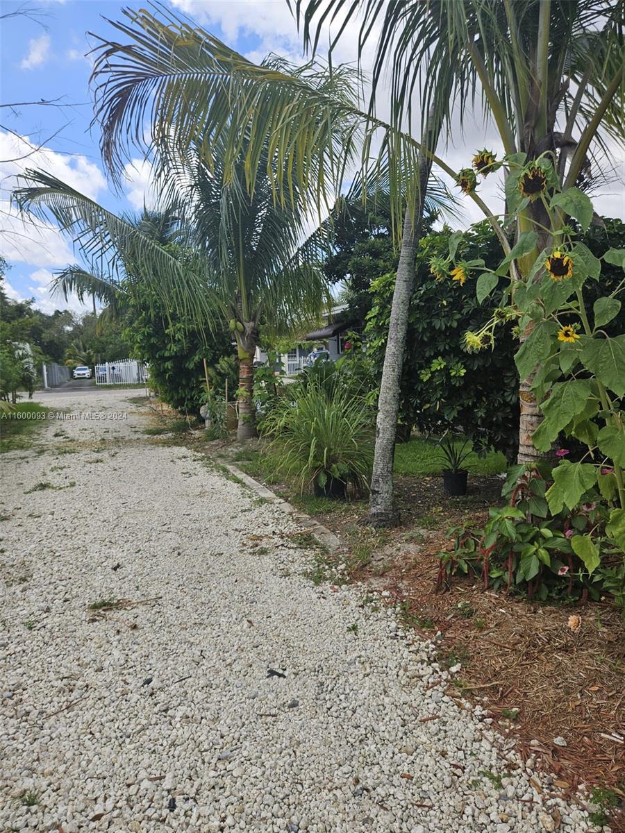 THE TROPICS AMD - Residential Income