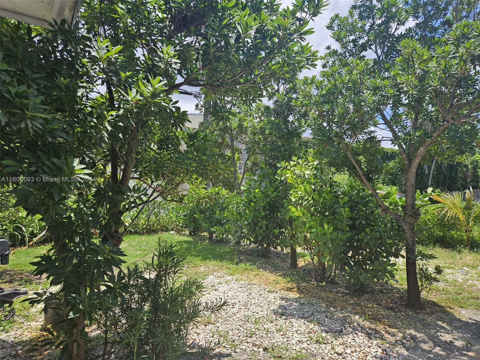 THE TROPICS AMD - Residential Income