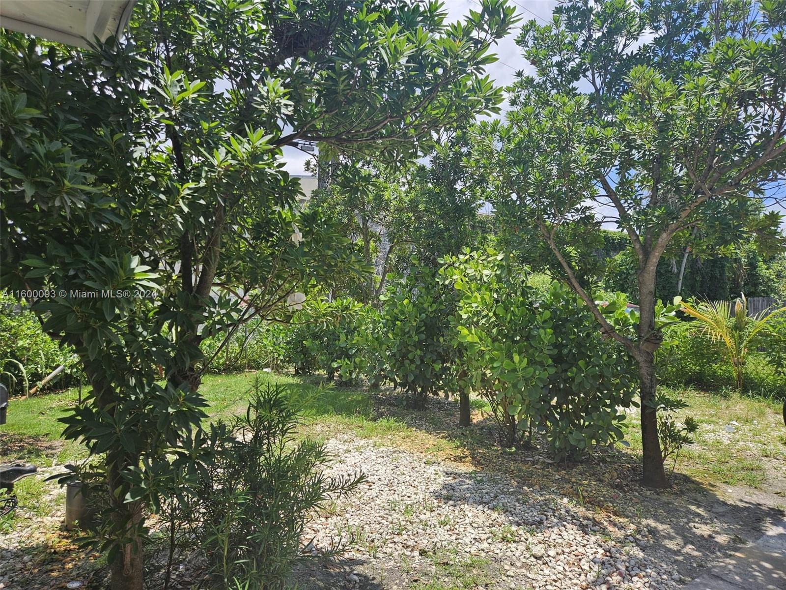 THE TROPICS AMD - Residential Income