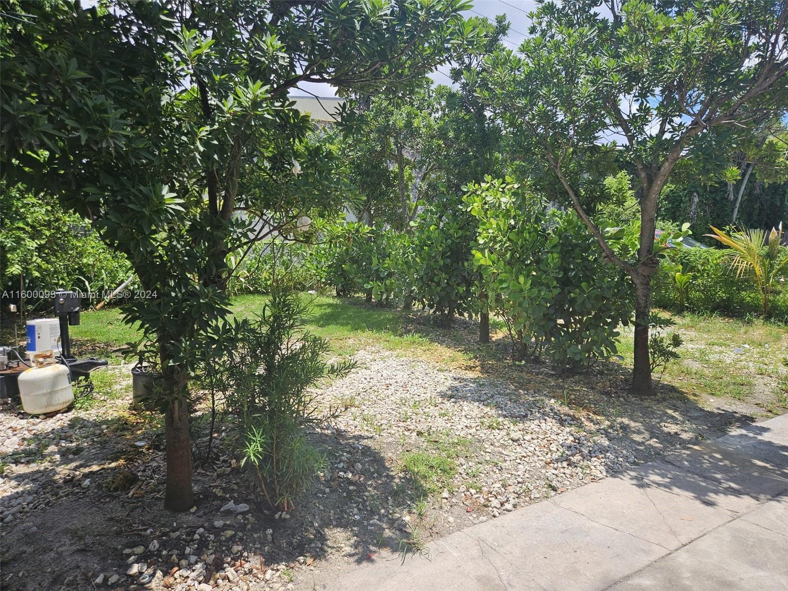 THE TROPICS AMD - Residential Income