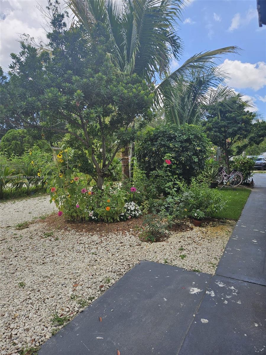 THE TROPICS AMD - Residential Income