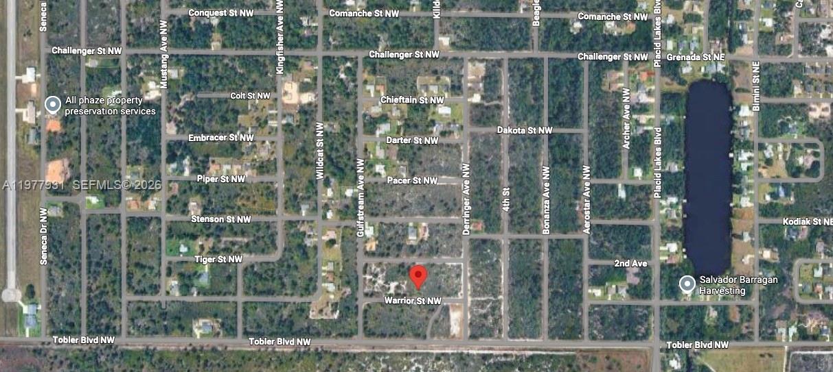 PLACID LAKES SEC 19 - Land