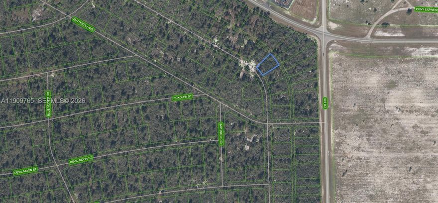 OWNER WILL FINANCE!!! $500 DOWN $197.61 PER MONTH FOR 36 MONTHS AT 7% INTEREST. FENCED IN BY FWC YOU WILL NEED TO GET A KEY FROM FWC TO HAVE ACCESS! Huge 80 X 125 lot located in the Sun N Lakes Lake Placid community, Located in Sun n Lakes Subdivision this lot is high and dry. Sun 'N Lakes Lake Placid is located approximately 85 miles from either coast and about 100 miles south of Orlando. There is a beautiful park with a white sandy beach and two docks on Lake Grassy. OWNER WILL FINANCE!!! PLEASE CHECK WITH HIGHLANDS COUNTY BUILDING DEPARMENT FOR ANY BUILDING QUESTIONS.