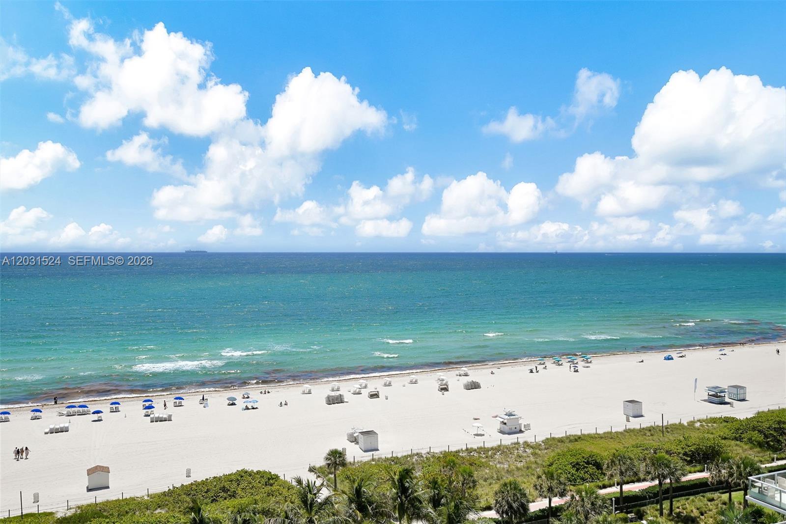 3801 Collins Ave 1102