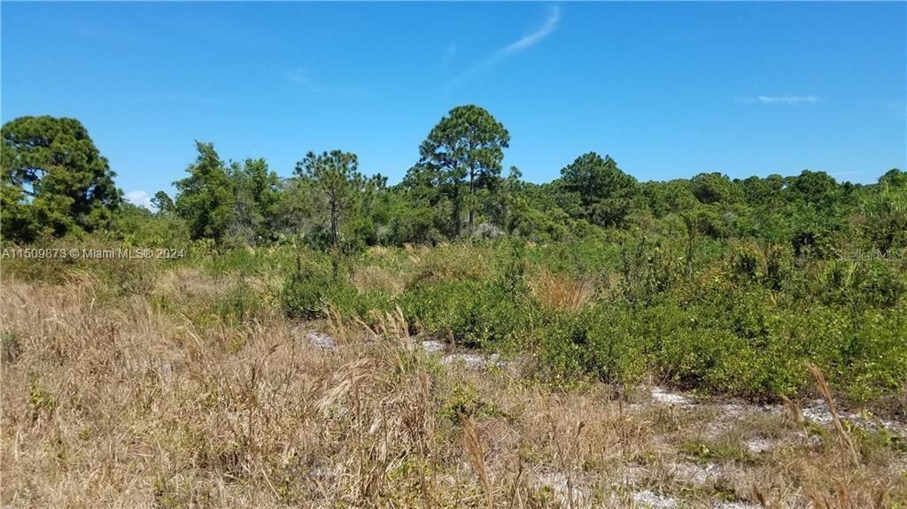 Photo of Dickens St, Fort Pierce, FL 34946 (MLS # A11509873)