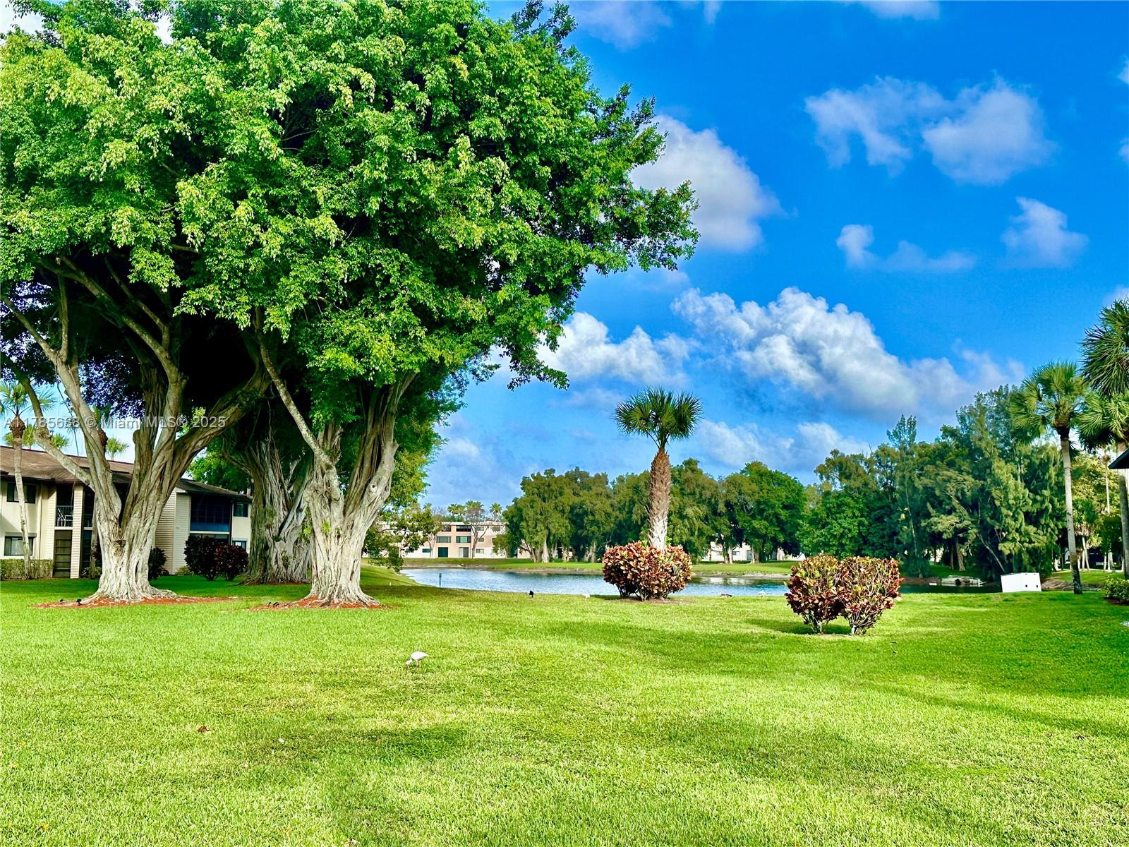 WITNEY A AND B CONDO - Residential