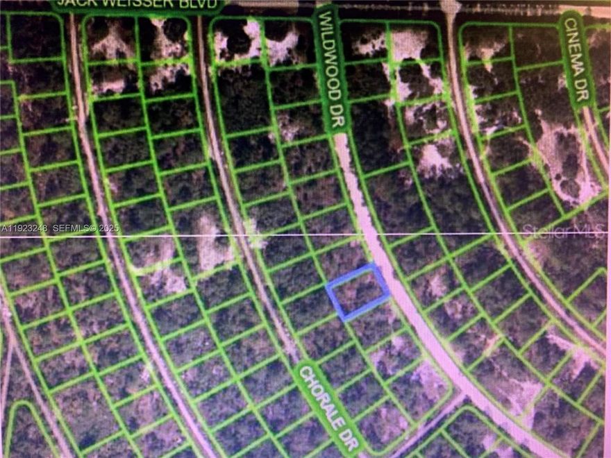 GREAT PEACE OF LAND IN LAKE PLACID FLORIDA. READY TO BUILD YOUR DREAM HOME.