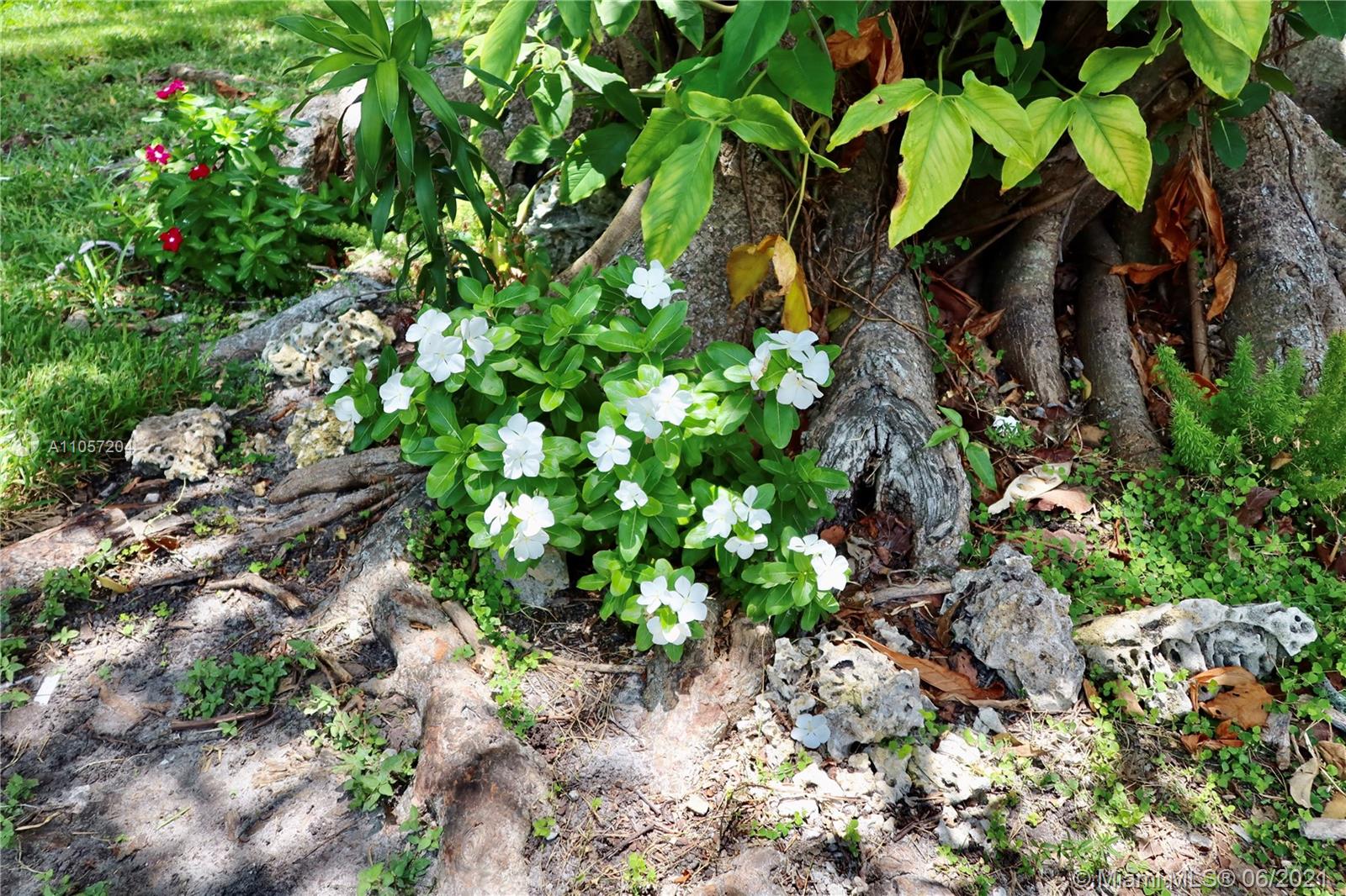 N MIAMI EST 1ST ADDN - Residential