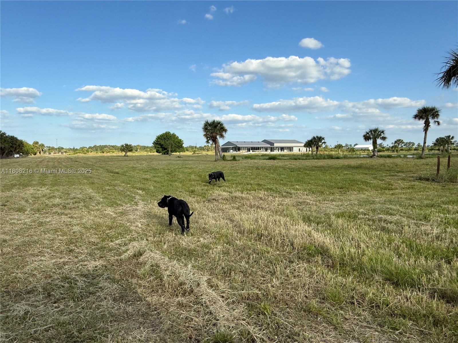 INDIAN RIVER FARMS COMPAN - Land