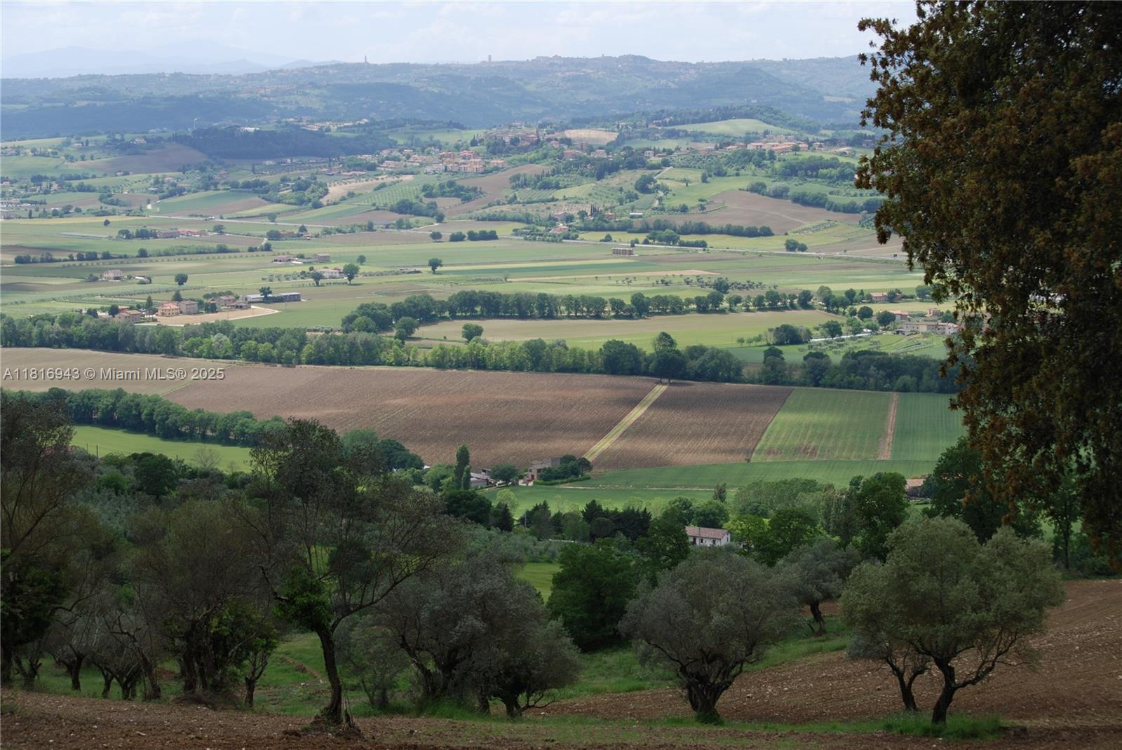 San Gregorio Assisi - Residential