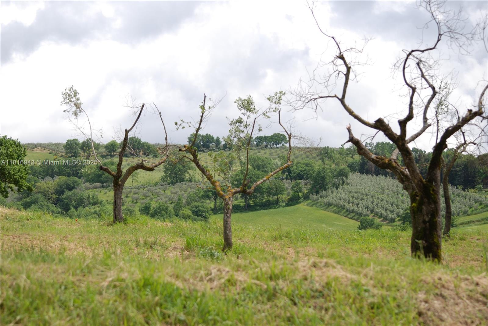 San Gregorio Assisi - Residential