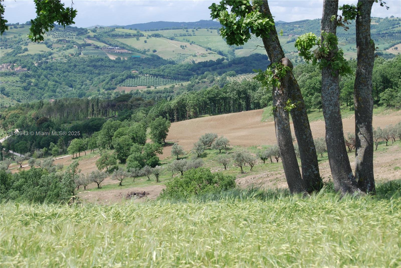 San Gregorio Assisi - Residential