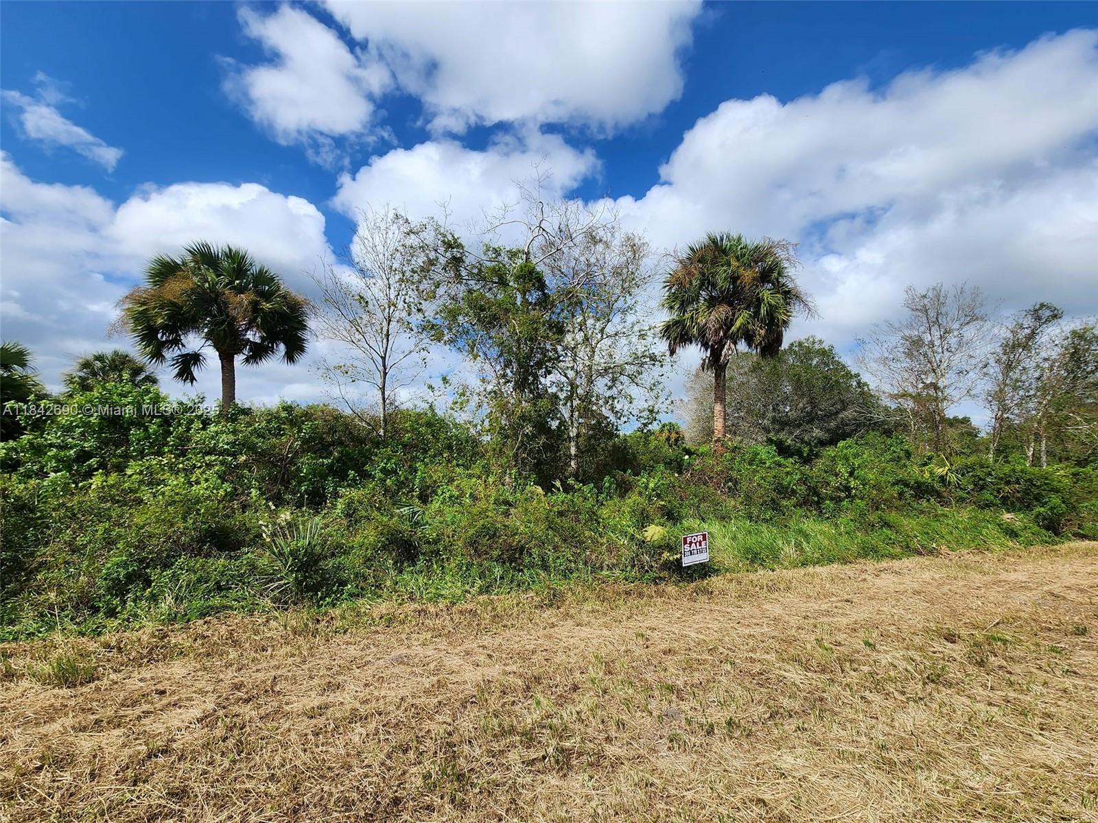 Discover the potential of this remarkable 1.25-acre vacant land lot in the desirable Clewiston area. This prime property invites you to turn your dreams into reality—whether it means building a residence, making a smart investment, or creating a serene retreat. The location offers endless possibilities! Enjoy the charm of nature, as this property provides a perfect blend of tranquility and convenience. Don’t miss your chance to own a piece of paradise in Clewiston! Montura grants exclusive access to a private reservoir for landowners, ideal for horseback riding, camping, fishing, and hunting. The community features a clubhouse with a pool, parks, playgrounds, and basketball courts. Plus, with no HOA, your vision can truly flourish! A survey is included for your convenience.
