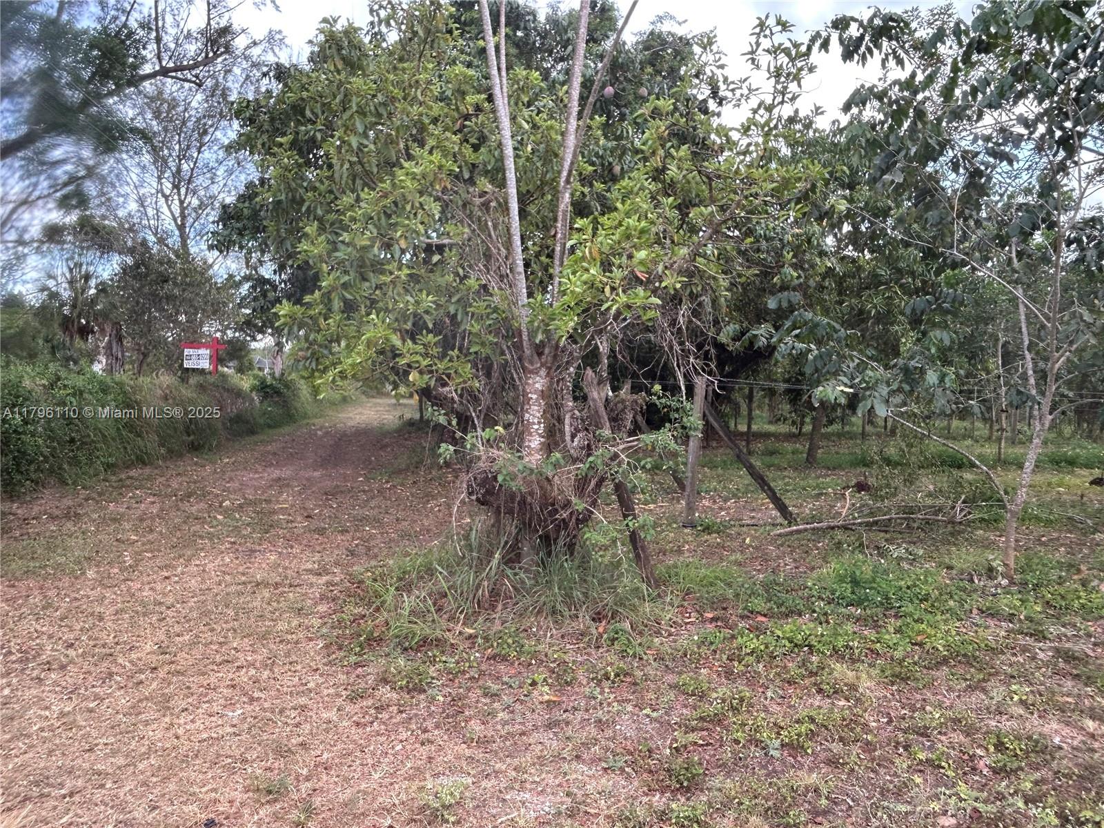 REDLAND CITRUS ORCHARDS S - Land