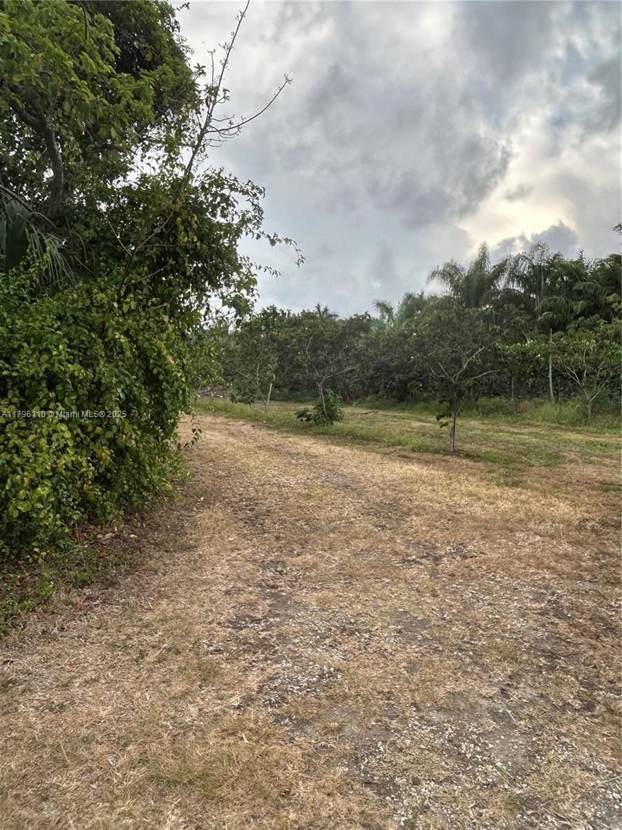 REDLAND CITRUS ORCHARDS S - Land