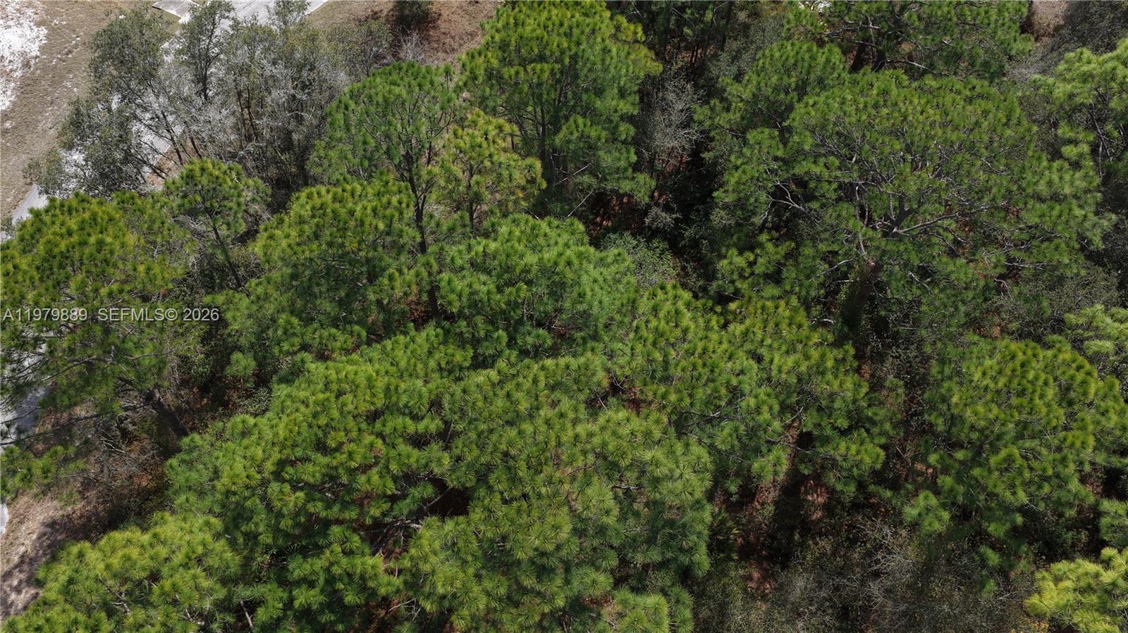 POINCIANA NBRHD 2 WEST VIL - Land