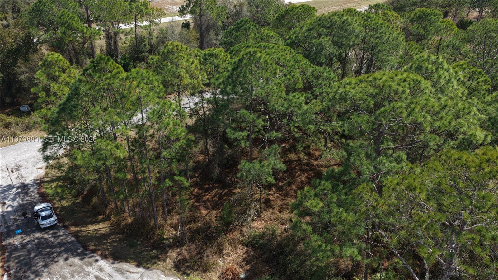 POINCIANA NBRHD 2 WEST VIL - Land