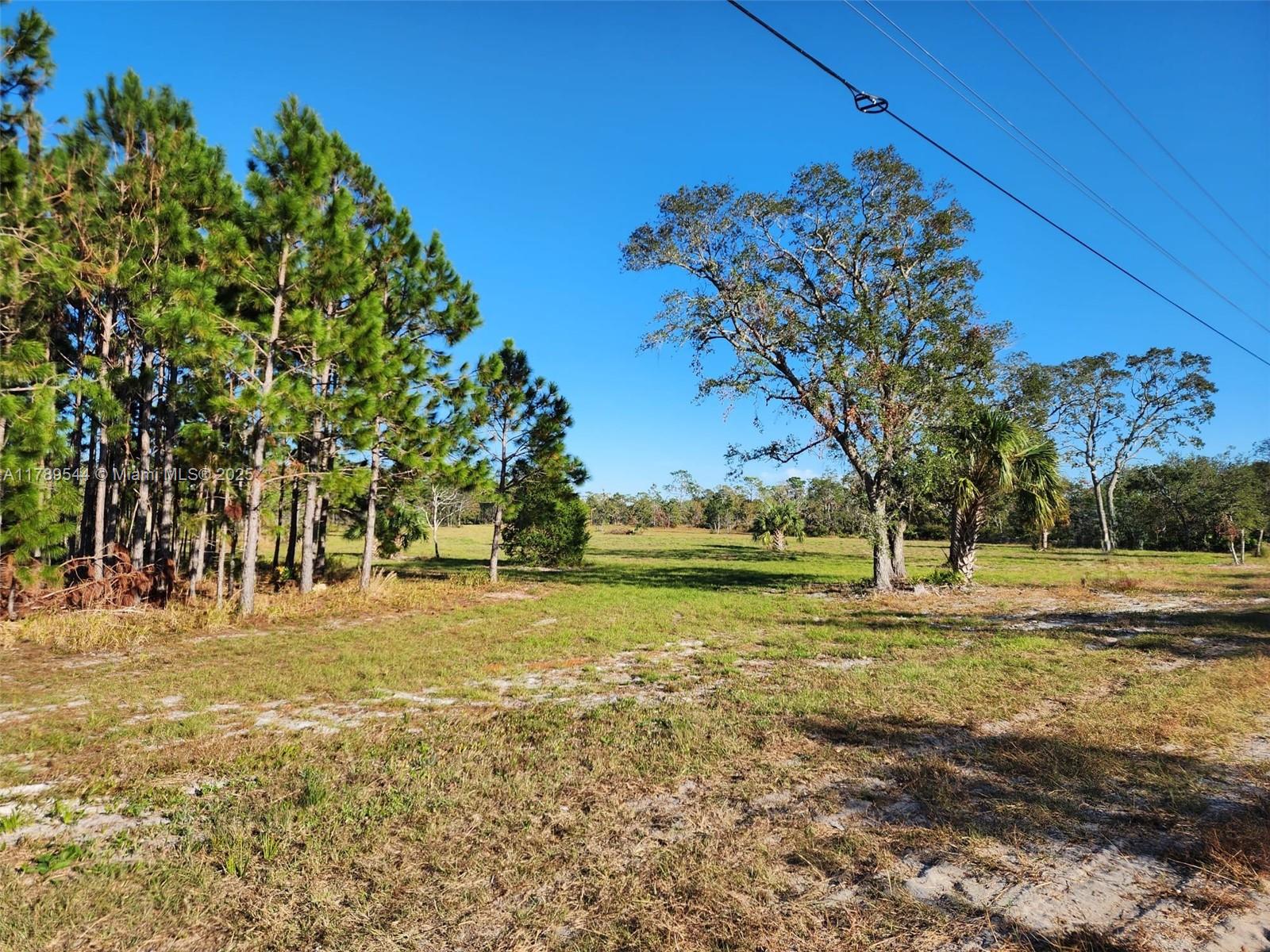 Discover the perfect canvas for your vision with this 5-acre cleared parcel in beautiful Keaton Beach. Ideally positioned along highly visible Beach Road, this versatile property is a rare opportunity for residential, or commercial use. Whether you're dreaming of building a coastal getaway, developing income-generating rentals, or launching a commercial venture just minutes from the Gulf, this property delivers the space, location, and flexibility to make it happen. Direct frontage on Beach Road for excellent access and visibility. Just minutes from the public boat ramp, fishing, and coastal recreation. Don't miss this chance to invest in one of Florida’s hidden gems. Opportunities like this don’t come often, call today!