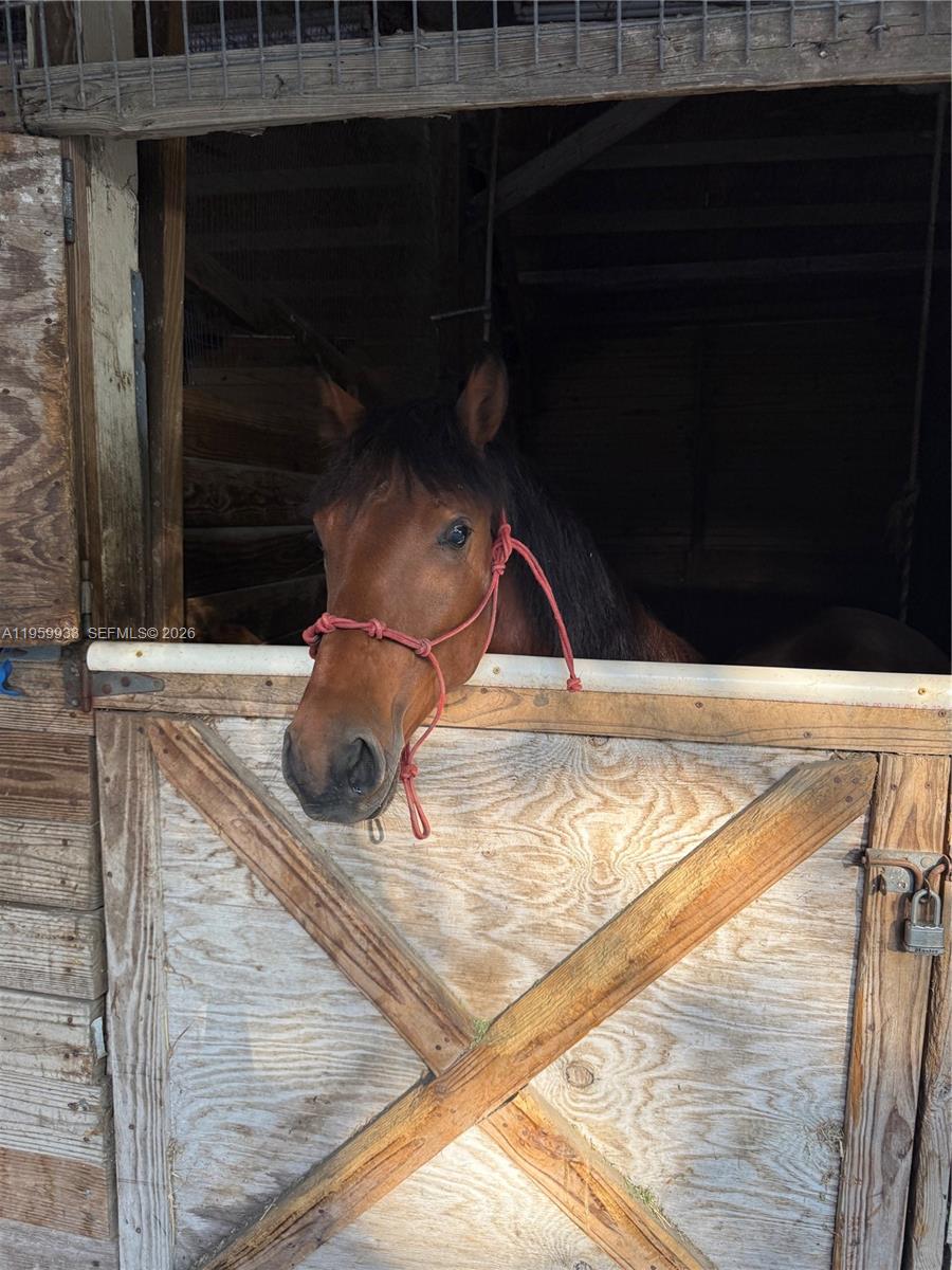 REDLANDS - Residential