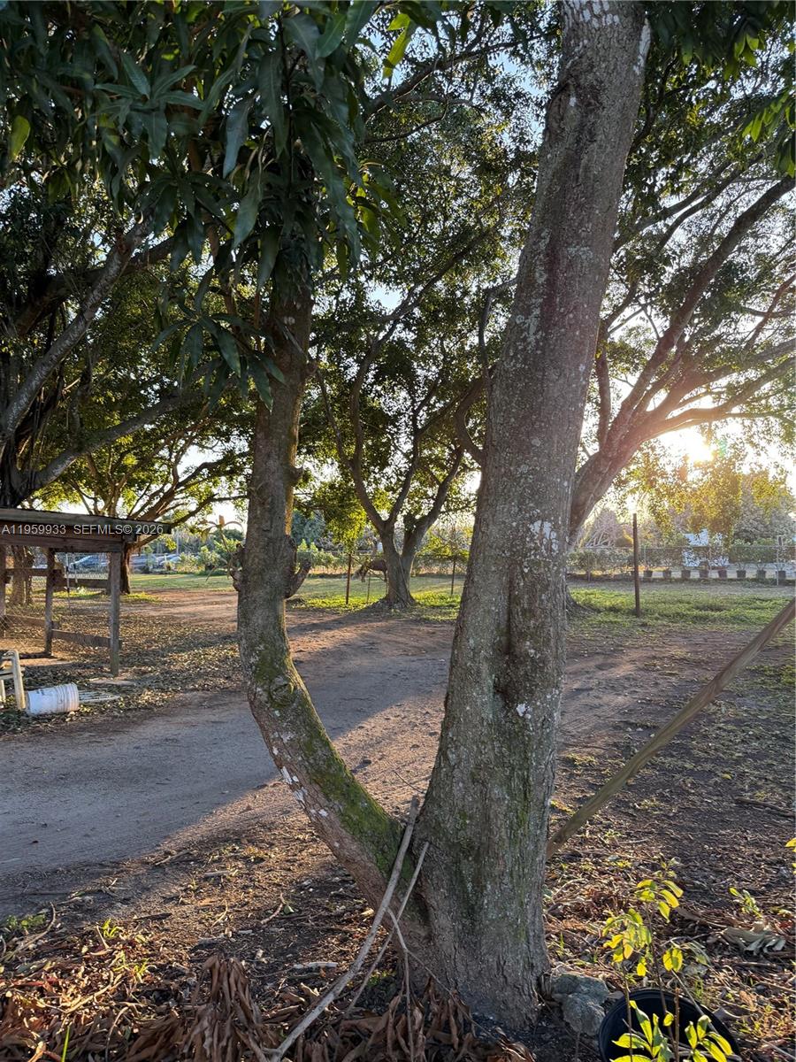 REDLANDS - Residential