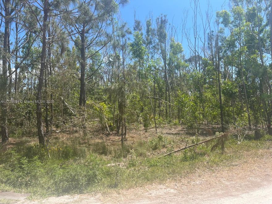 Unique Opportunity to Live Near the Sea!
Discover the charm of Pine Island, Florida, a coastal paradise where tranquility and nature come together perfectly. This lot offers an unbeatable location just minutes from the ocean, with nearby boat ramps and a vibrant community with gas stations, restaurants, and museums. Perfect for those seeking peace and privacy, without giving up modern conveniences. Additionally, Pine Island is a growing area, making this lot an excellent long-term investment. Take advantage of this unique opportunity to build your dream home or an investment property. A short distance from beautiful natural landscapes and outdoor activities like fishing and boating.
Price: USD 26,000