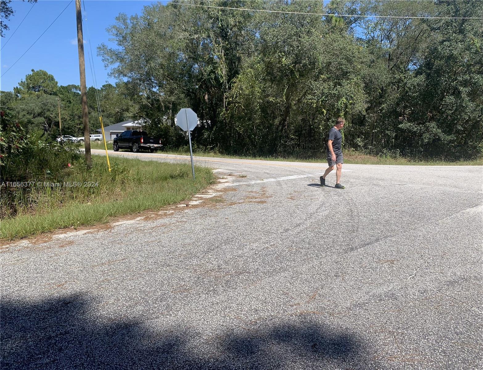 CITRUS SPRINGS - Land