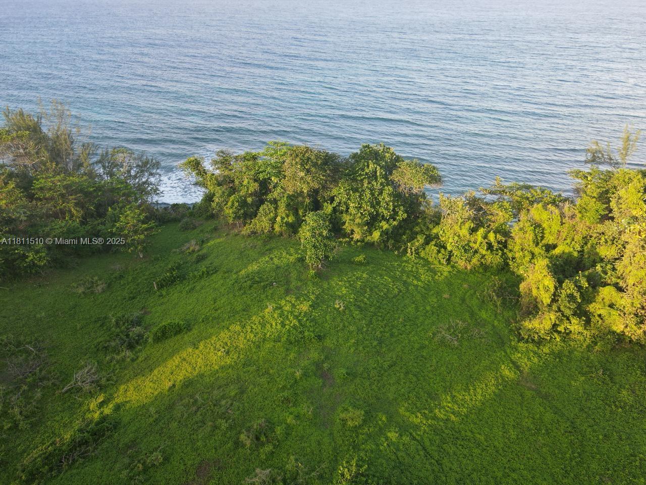 NA PORTLAND,JAMAICA