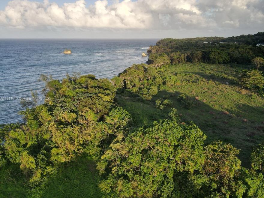 Rare opportunity to own 35 acres of flat, prime oceanfront land in Portland, Jamaica—one of the island’s most coveted parishes. Perfect for a residential development with space for commercial/retail use, this property combines location, potential, and immediate value. With housing inventory at an all-time low, demand is high—making this site an ideal investment. Approved for housing development and boasting breathtaking ocean views, this land is poised for fast appreciation. Secure your future with this unparalleled parcel—develop now or hold for later gains. The price is very negotiable, and the motivated seller is open to all reasonable offers. This is your chance to own a rare gem in Portland’s growing real estate market.