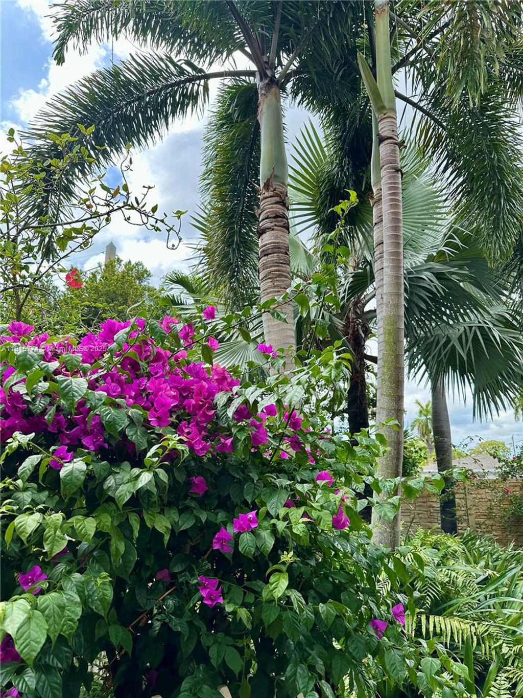 Photo of 1125 NE 16th Pl #106, Fort Lauderdale, FL 33305 (MLS # A11816774)