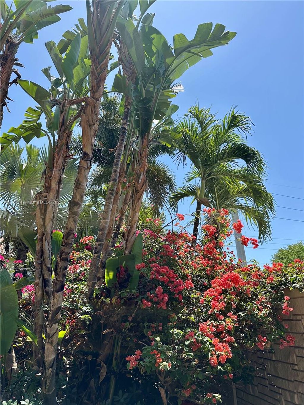 Photo of 1125 NE 16th Pl #106, Fort Lauderdale, FL 33305 (MLS # A11816774)