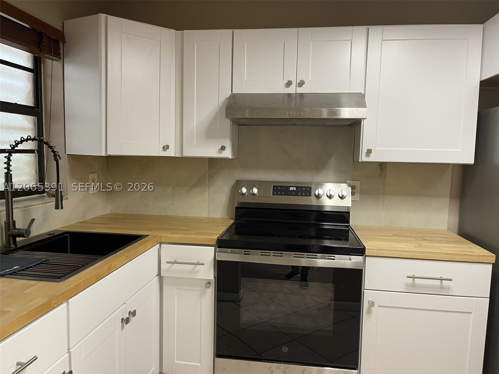 1250 LINCOLN RD 306