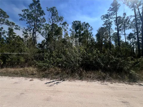MLS: A11763384