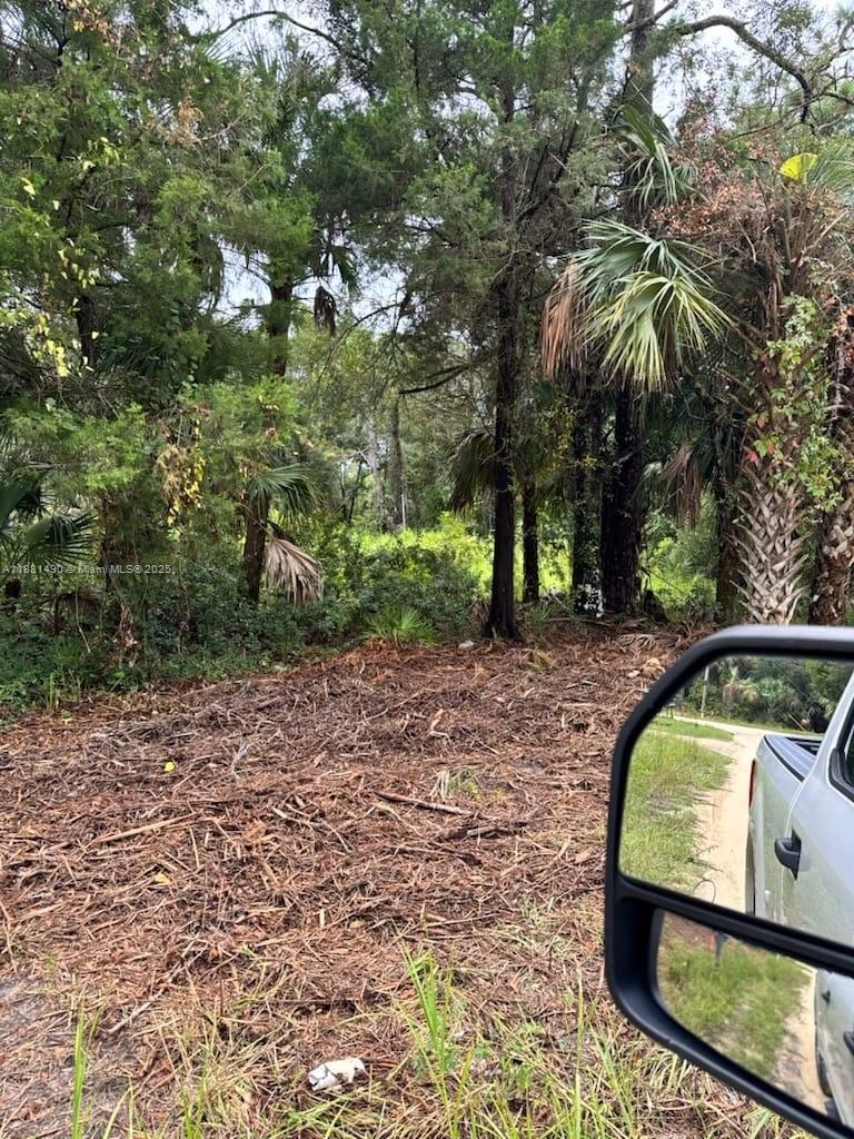 CASON INGLIS ACRES - Land