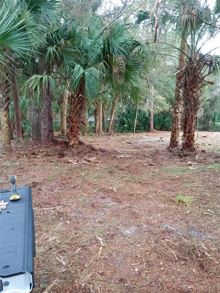 CASON INGLIS ACRES - Land