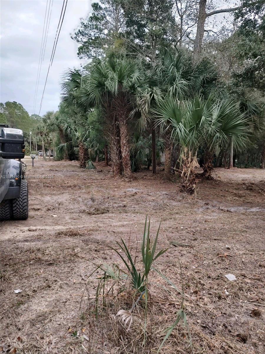 CASON INGLIS ACRES - Land