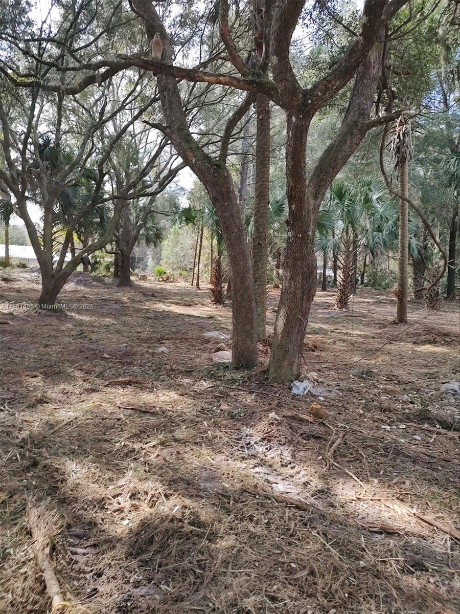 CASON INGLIS ACRES - Land