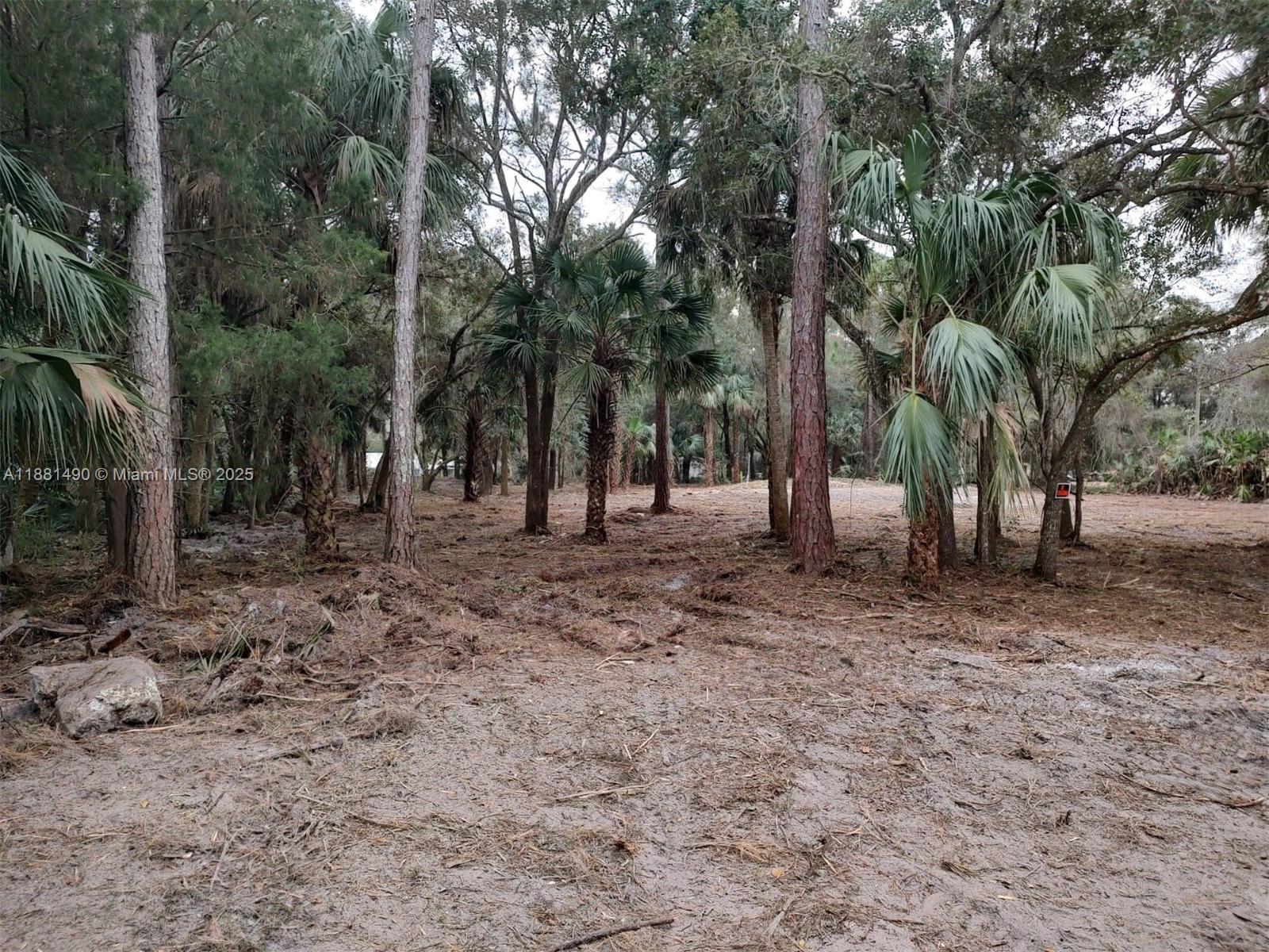 CASON INGLIS ACRES - Land
