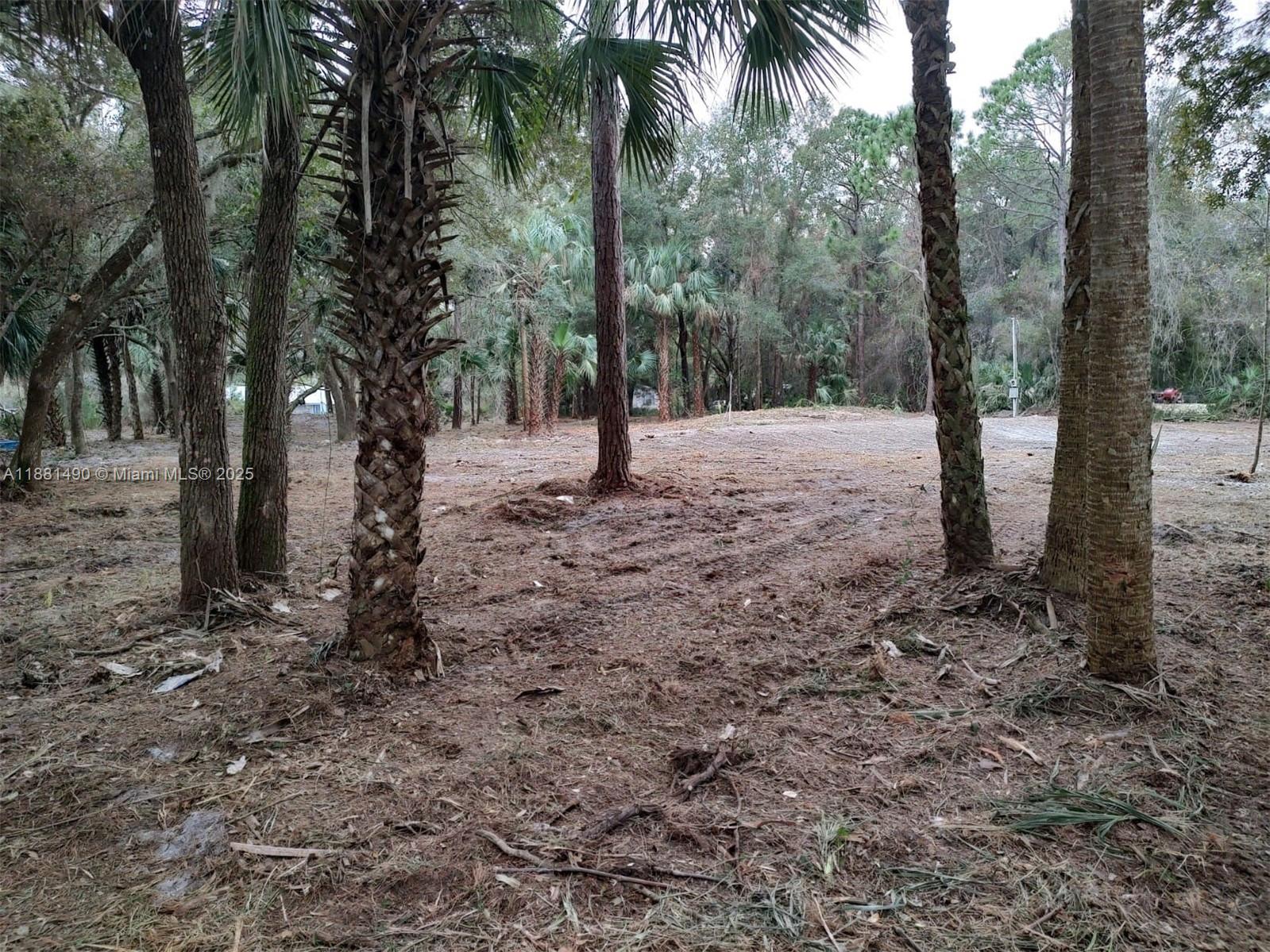 CASON INGLIS ACRES - Land