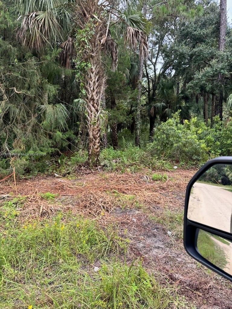 CASON INGLIS ACRES - Land